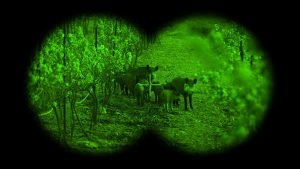 The 10 Best Night Vision Goggles - PointOptics