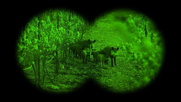 The 10 Best Night Vision Goggles - PointOptics