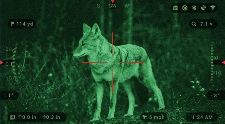 Best Night Vision Scope - PointOptics