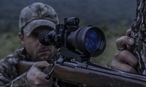 Night Hunting Laws - Pointoptics