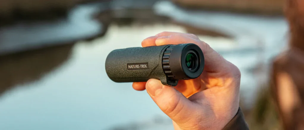 monocular cues